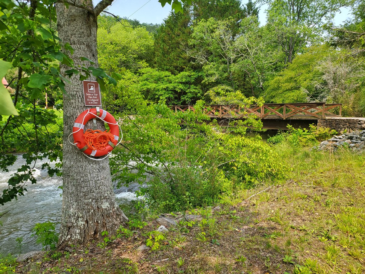 Life ring and river rules sign on a tree by the Toccoa River